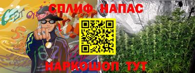 стаф Новозыбков
