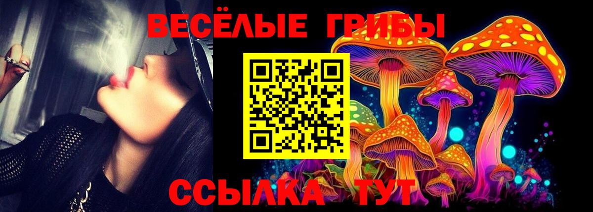 Тамбов  Галлюциногенные грибы Magic Shrooms  Вход с VPN  Псилоцибиновые грибы Cubensis 