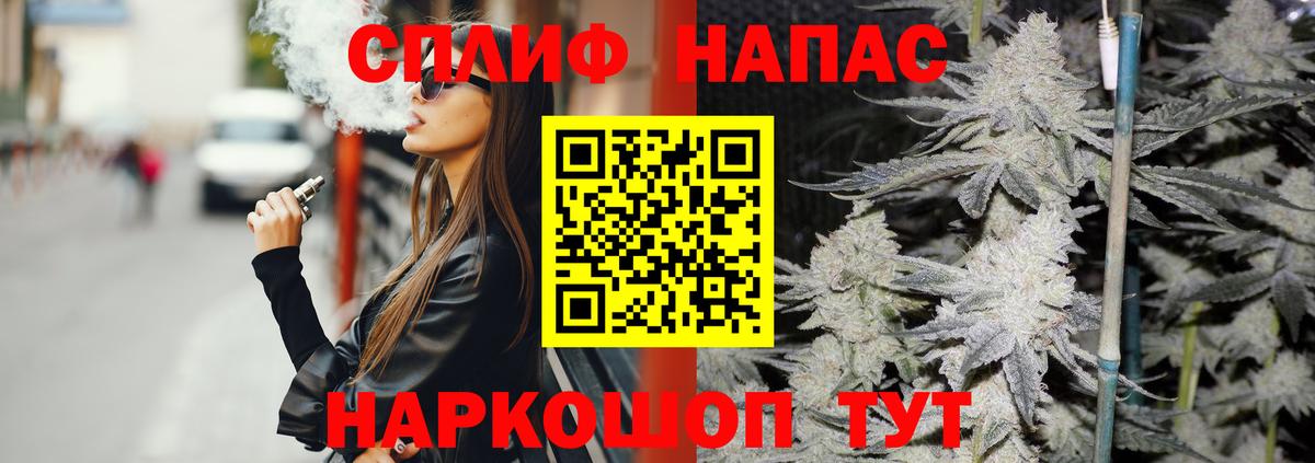 Шишки марихуана сатива Тамбов